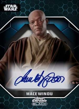 Samuel L. Jackson as Mace Windu