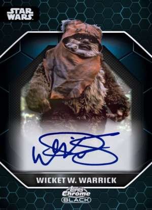 Warwick Davis as Wicket W. Warrick