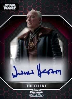 Werner Herzog as The Client