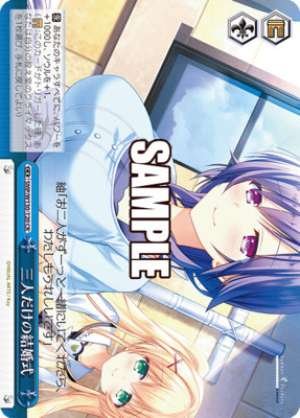 wedding for just three people