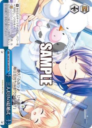 wedding for just three people