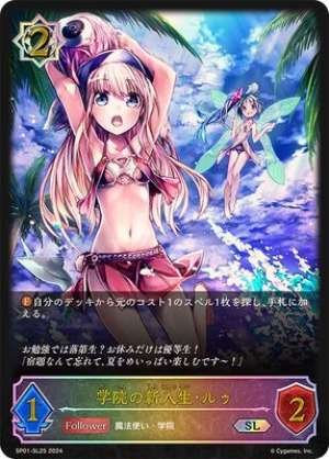 Academy Freshman, Luu