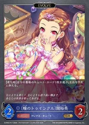 Twinkle in the Eyes Hiromi Seki (EVOLVE)