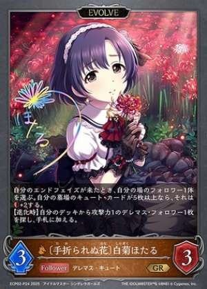 The Unbroken Flower White Chrysanthemum Hotaru (EVOLVE)