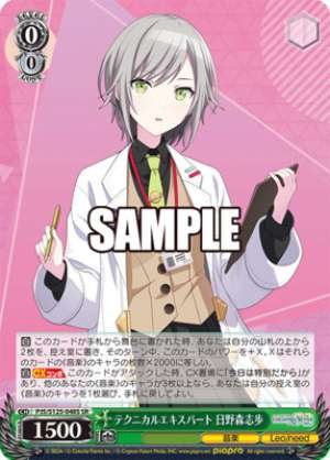Technical Expert Shiho Hinomori