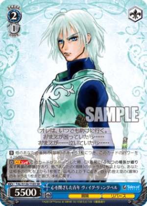 The Young Man Who Closed His Heart Veig Lyngberg