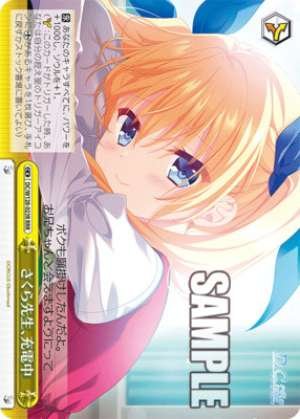 Sakura-sensei, charging