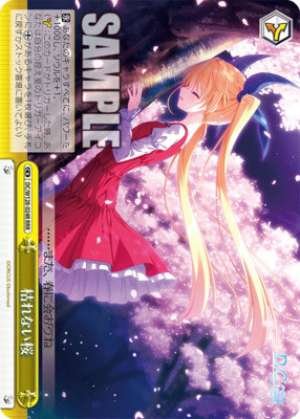 Cherry blossoms that never wither