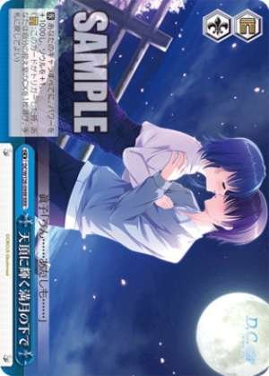 Under the full moon shining at the zenith