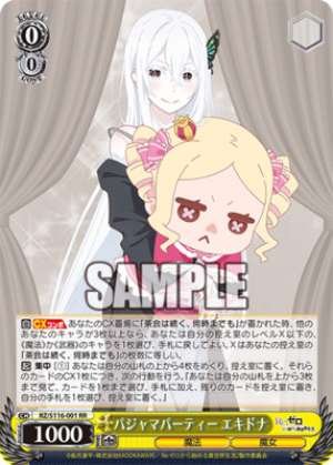 Pajama Party Echidna