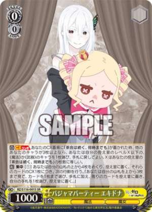 Pajama Party Echidna