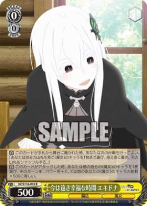 Now a distant memory of happy times Echidna