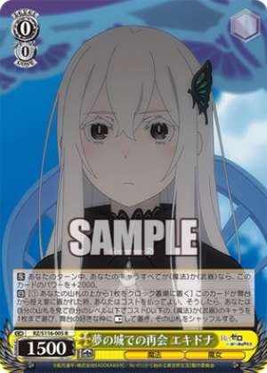 Reunion at the Castle of Dreams Echidna