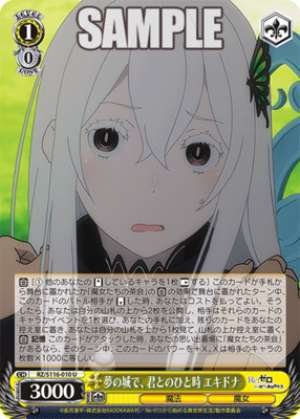 A moment with you in the castle of dreams Echidna