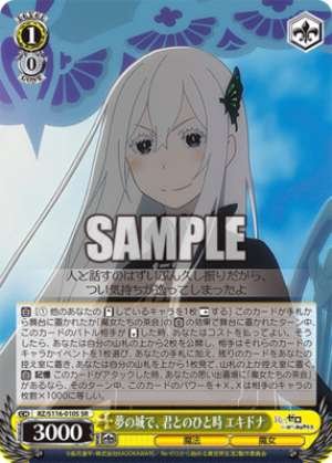 A moment with you in the castle of dreams Echidna