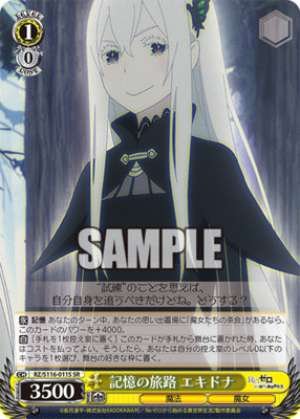 Journey of Memories Echidna