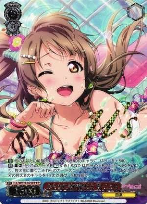 Kotori Minami, Don't Tell Anyone Else