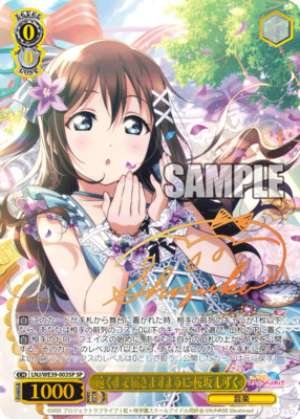 Shizuka Osaka, Hoping This Reach Far