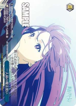 A fully-fledged wizard