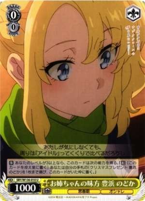 Big Sister's Ally Toyohama Nodoka