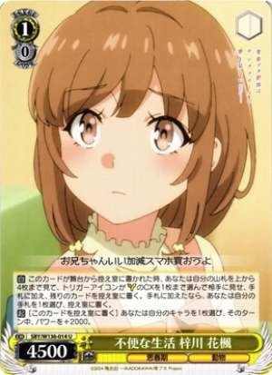An Inconvenient Life Azusagawa Kaede