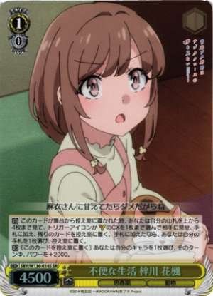 An Inconvenient Life Azusagawa Kaede