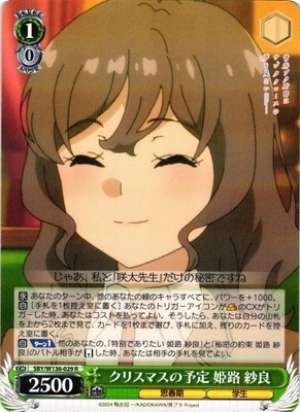 Christmas plans Himeji Sara