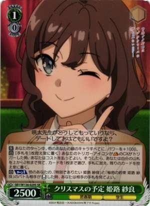 Christmas plans Himeji Sara