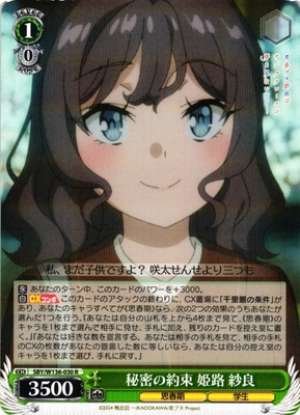 Secret Promise Himeji Sara