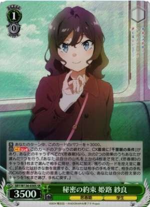 Secret Promise Himeji Sara