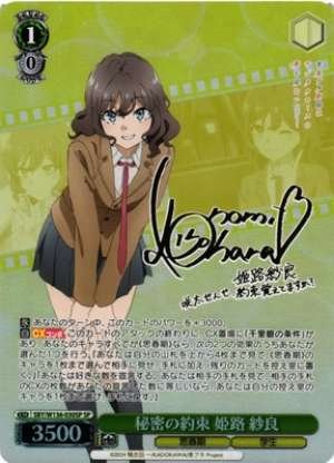 Secret Promise Himeji Sara