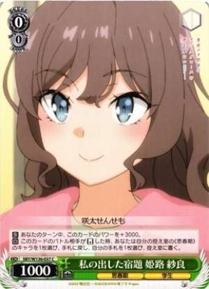 My assigned homework: Himeji Sara