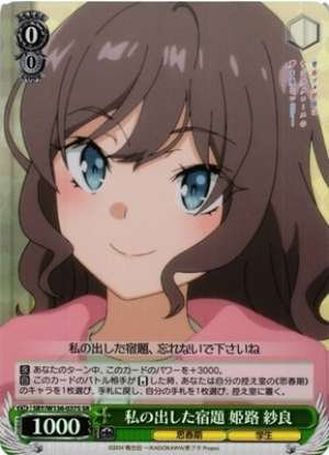 My assigned homework: Himeji Sara