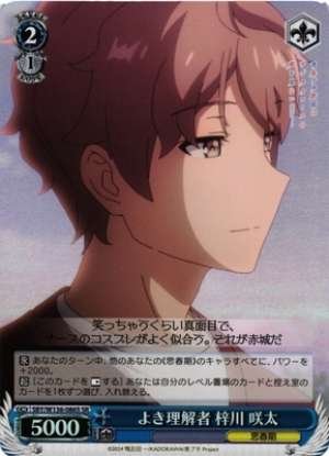 A good understanding person, Sakuta Azusagawa