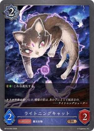 Lightning Cat