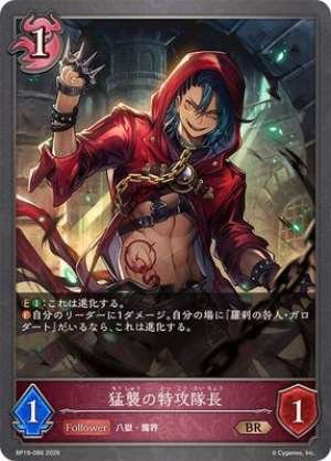 Commander of the Assault Squadron