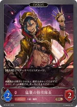 Commander of the Assault Squadron