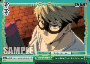 Hero Who Saves the Princess