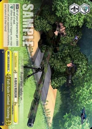 Full-Scale Combat Training