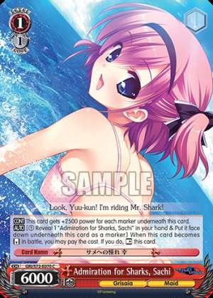 Admiration for Sharks, Sachi