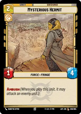 Mysterious Hermit