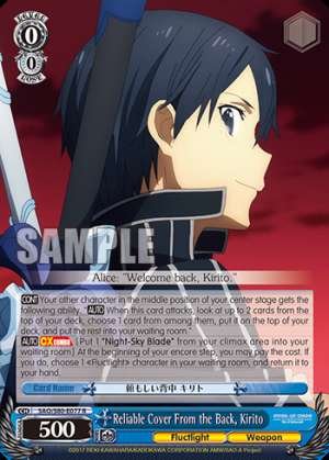 Reliable Cover From the Back, Kirito