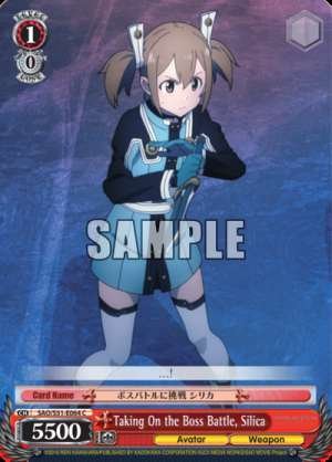 Taking On the Boss Battle, Silica