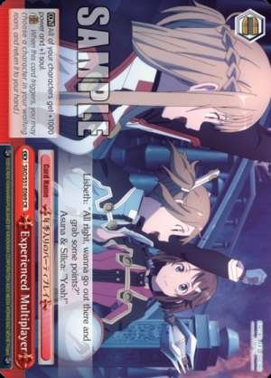 Experienced Multiplayer