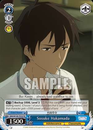 Sosuke Hakamada