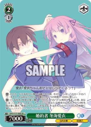 The Fiancée Fuyumi Ai