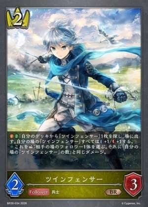Twin Fencer