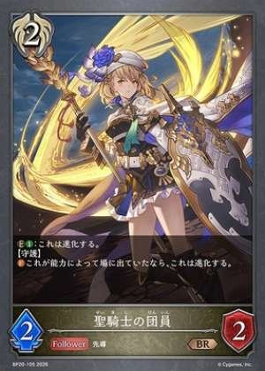 Holy Knight Order Member