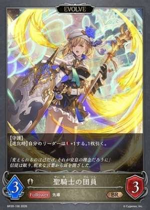 Holy Knight Member (EVOLVE)