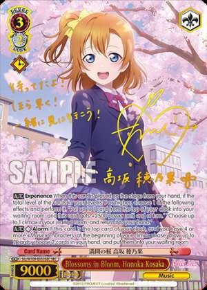 Blossoms in Bloom, Honoka Kosaka